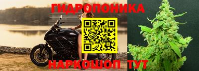 герыч Будённовск