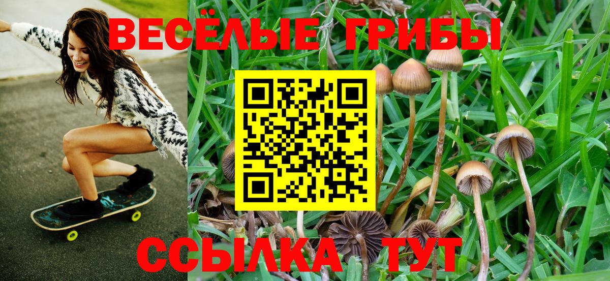 Галлюциногенные грибы ЛСД  Вход с VPN  Чернушка 