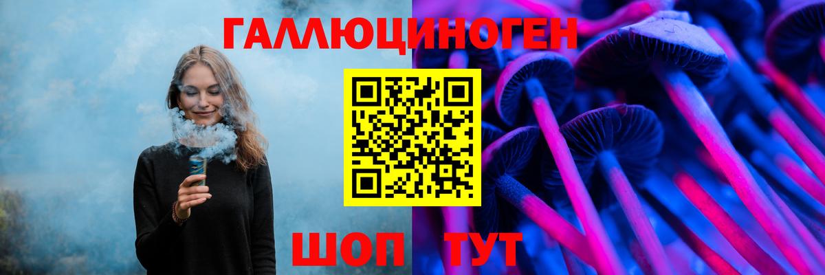 Галлюциногенные грибы Psilocybe Чернушка
